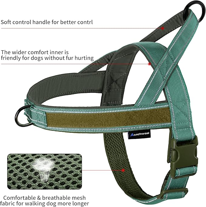 Annchwool No Pull Dog Harness with Padded Handle+5 Ft Leash,Reflective Strip Escape Proof and Quick Fit to Adjust Dog Harness,Easy for Training Walking for Small & Medium and Large Dogs(Green-Set,M)