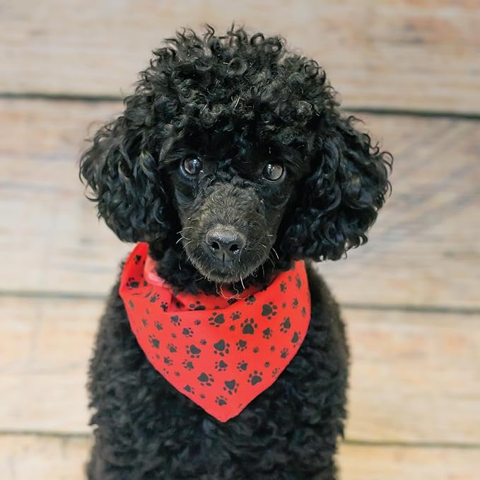 60 Assorted Paws and Bones Tieback Dog Grooming Bandanas/Groomers Bulk Package