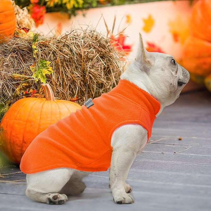 BEAUTYZOO Dog Fleece Vest Sweater Winter Jacket for Small and Medium Dogs with D-Ring Leash Cold Weather Coat Hoodie for XS S M Dogs Boy or Girls,Orange L