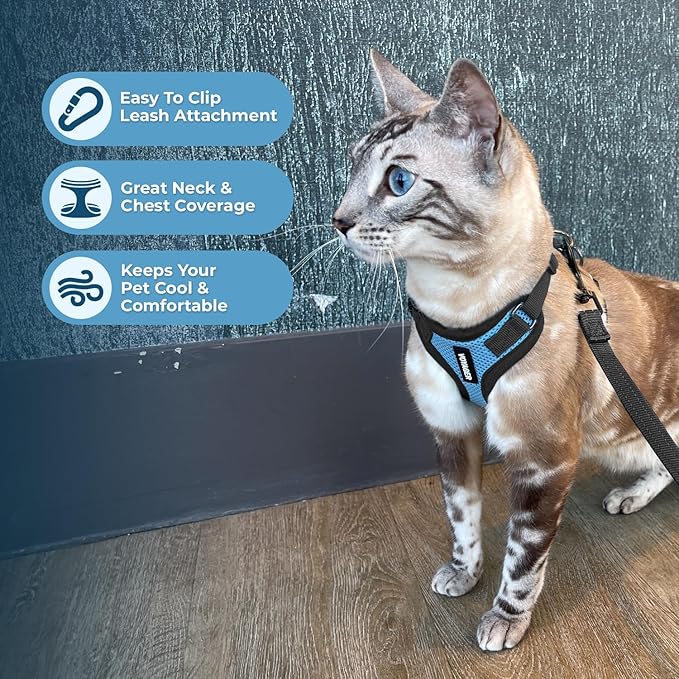 Voyager Step-in Lock Adjustable Cat Harness w. Cat Leash Combo Set with Neoprene Handle 5ft - Supports Small, Medium and Large Breed Cats by Best Pet Supplies - Baby Blue/Black Trim, XS