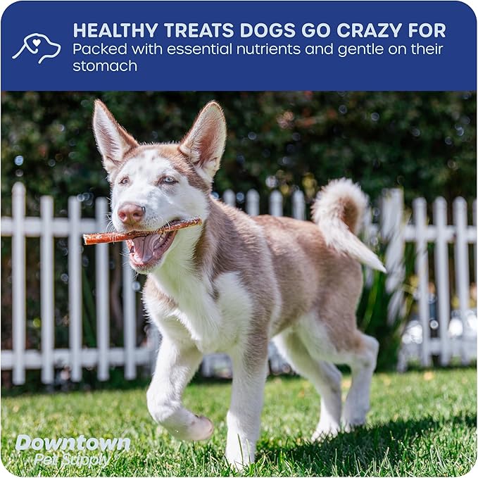 Downtown Pet Supply USA-Made Bully Sticks for Dogs (12", 15-Pack Regular) Rawhide Free Dog Chews Long Lasting Non-Splintering Pizzle Sticks - Low Odor Bully Sticks for Large Dogs