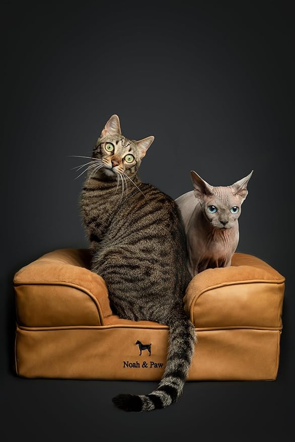 NOAH & PAW Small Dog Bed, 20x15x8 Inch, Cat Bed for Indoor Cats, Orthopedic Eggshell Memory Foam Infused with Cooling Gel, Waterproof Inner Cover Machine Washable (Faux Leather Collection)