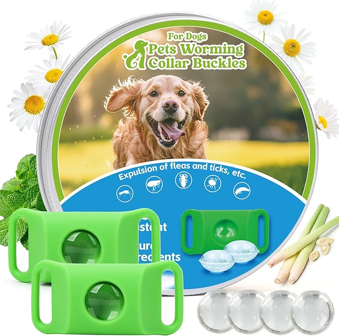 Natural Flea and Tick Prevention Dog Tag – 2 Pack Waterproof Collar Pendant with 4 Extra Refills, Green, Safe for All Breeds Collar Not Included