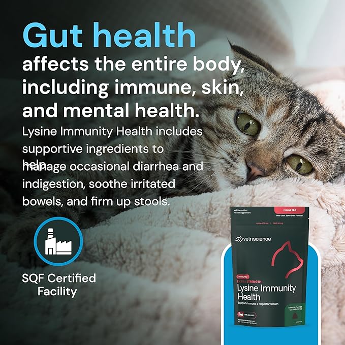 VetriScience Extra Strength Lysine Immunity Health Chews - Immunity Supplement for Cats of All Ages - Supports Immune Function, Eye Health & Cardiovascular Function - 120 Count