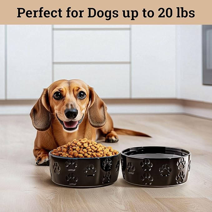 Ceramic Dog Bowl Set of 2 with Anti-Skid Base - 5" Wide x 2" Tall Ceramic Dog Bowls for Small Dogs - 2 Cup Capacity Food and Water Bowls for Dogs - Rubber Bottom Pet Bowl Set of 2 for Small Pets