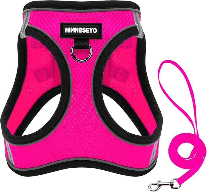 Dog Harness and Leash Set, Dog Harness for Dogs No Pull, No-Chock Step-in Reflective Breathable Lightweight Easy Walk Vest Harnesses with Safety Buckle for Small Medium Dogs, Cats (Rose red, L)