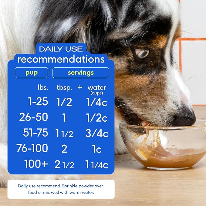 Native Pet Bone Broth for Dogs and Cats - Chicken Bone Broth Powder Dog Food Toppers for Picky Eaters - Provides Extra Nutrition for Joint Strength, Immune Support & Heart Health - 96 Scoops