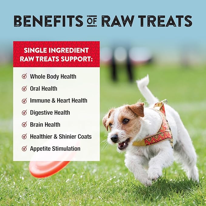 Northwest Naturals Raw Rewards Freeze-Dried Beef Heart Treats for Dogs and Cats - Bite-Sized Pieces - Healthy, 1 Ingredient, Human Grade Ingredient, All Natural, Proudly Made in USA, 10 Oz (Pack of 3)