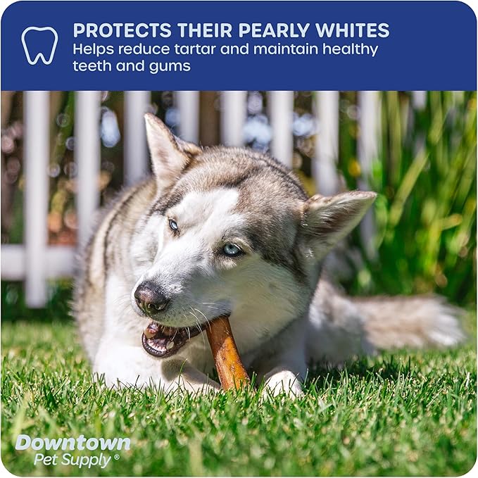 Downtown Pet Supply USA-Made 12", 3 Lb. Jumbo Bully Sticks for Large Dogs - Rawhide Free Dog Chews Long Lasting and Non-Splintering - Single Ingredient, Low Odor Bully Sticks for Medium Dogs