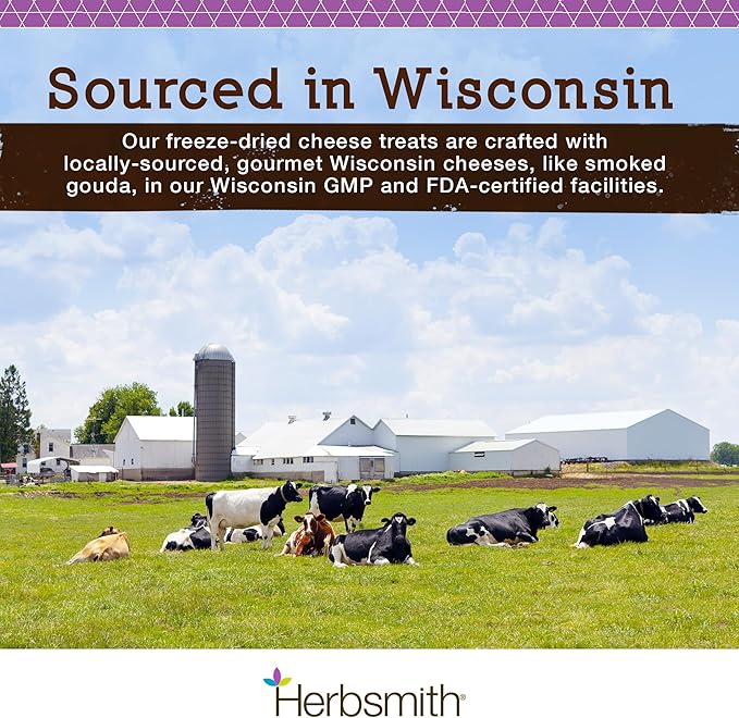 Herbsmith Sassy Cat Treats – Freeze Dried Gruyere – Human-Grade Wisconsin Cheese – Natural Snack for Picky Eaters – 1 Ingredient – USA Made – 4.7 oz