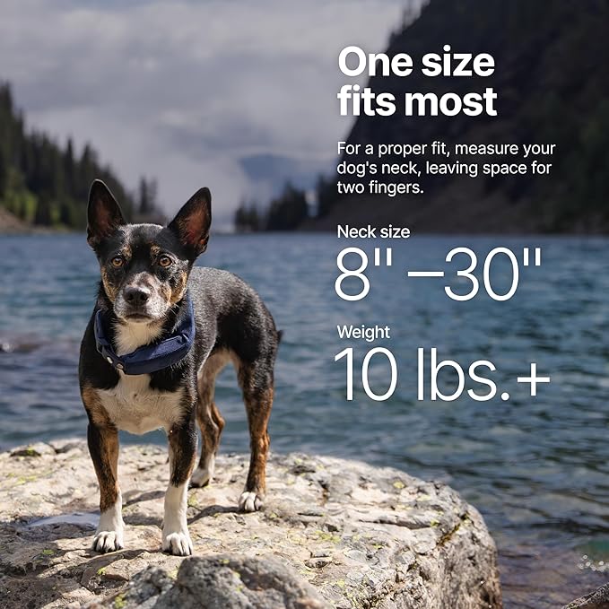 Halo Collar 5, New Wireless Dog Fence & GPS Dog Collar, Subscription Required, Waterproof, Graphite, One Size