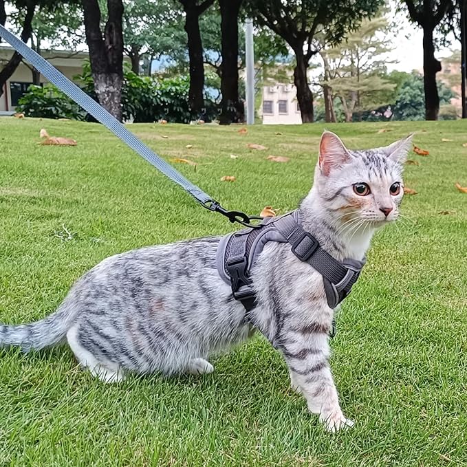 Cat Harness and Leash Set Escape Proof Tactical Medium Kitten Harness Emotional Support Cat Vest, Grey, M