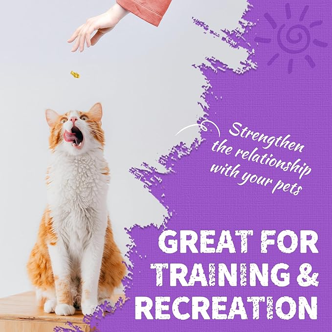 Just Try 13.4 OZ Lysine Cat Treats Natural Salmon Flavor Healthy Cat Training Biscuits Snacks Lysine Dental Care Treats for Cats & Kittens