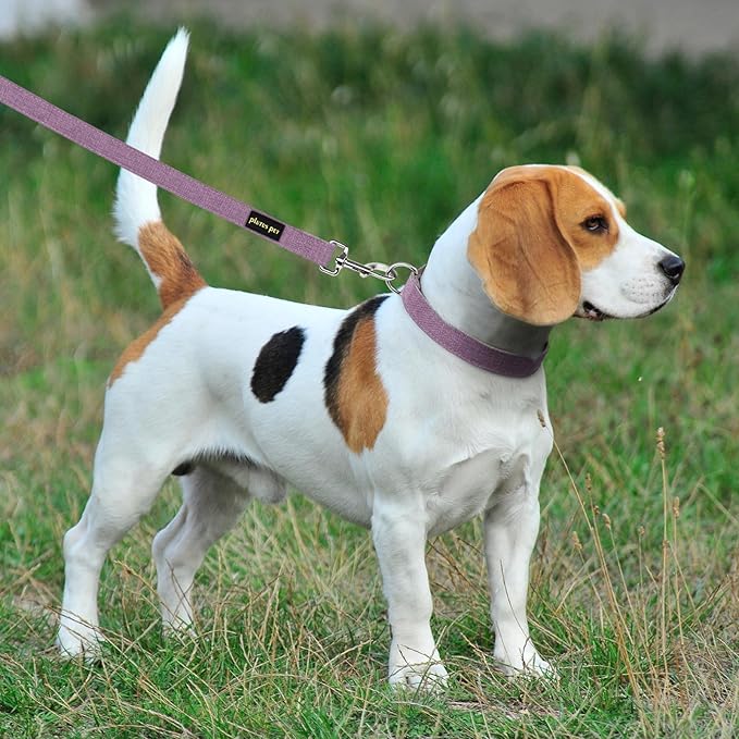 Plutus Pet Cotton Hemp Dog Collar and Leash Set, Adjustable Collar for Small, Medium, and Large Dogs, Heavy Duty and Soft on Skin, Lavender, XS