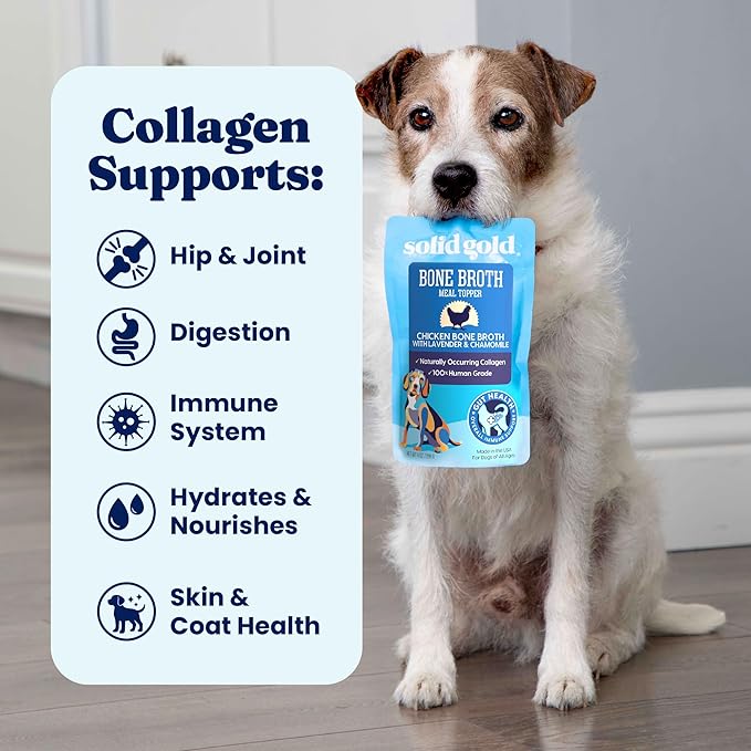 Solid Gold Chicken Bone Broth for Dogs - Limited Ingredient Bone Broth Dog Food Toppers for Picky Eaters with Collagen & Superfoods - Dog Gravy Topper for Dry Food - Gut Health & Hydration - 12 Pack