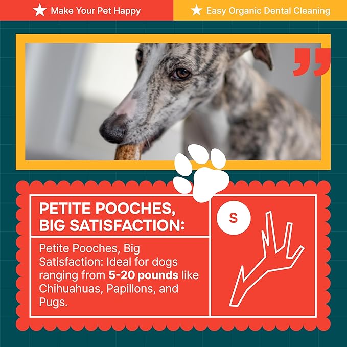 100% Natural - Antlers for Dogs ( Split ) - Naturally Shed in USA - Grade A Long Lasting Chew for Aggressive Chewers - Elk Antlers Dog Antler Chews - Real, Treats & Toys - No Odor & No Mess - Small