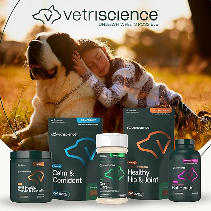 VetriScience GlycoFlex 3 Extra Strength Hip & Joint Supplement for Dogs – Vet Formulated Glucosamine, MSM & Green-Lipped Mussel Chews for Mobility, Flexibility & Joint Support, Chicken Flavor, 60 Cnt