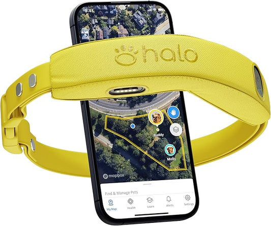 Halo Collar 4, GPS Wireless Dog Fence & Dog Training Collar with GPS Tracker, Subscription Required, Waterproof, Sunburst, One Size