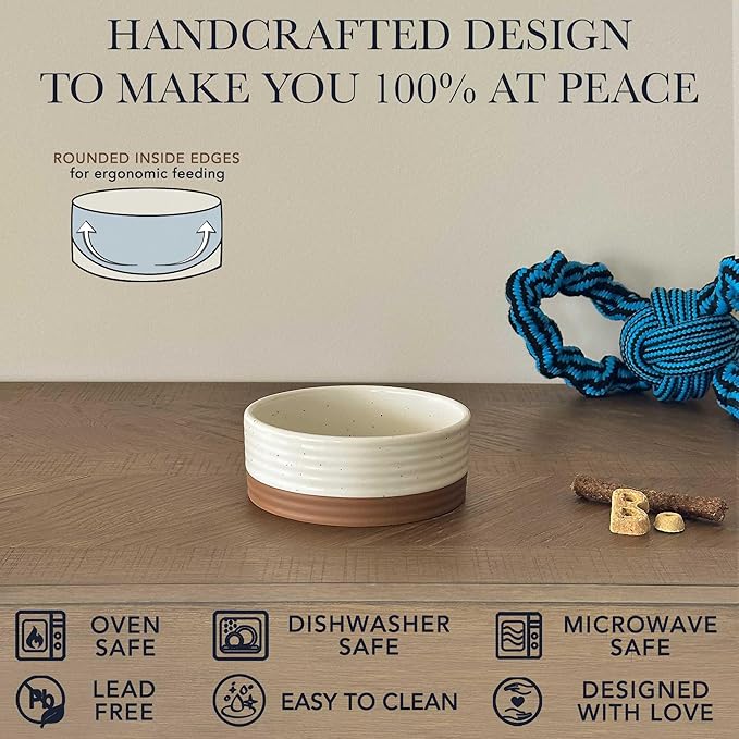 Mora Ceramic Pet Bowl Size Small - Food/Water Dish for Puppy Dogs, Cats, Guinea Pig, Rabbit, Hamster, Snake, ect. 11oz or 2 Cups - Basic Bowls for Your Dog or Cat, Mix and Match for a Set - Vanillla