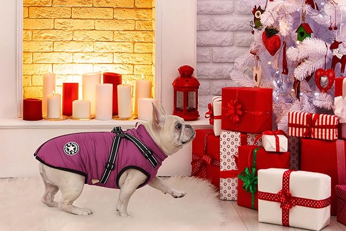Aiboria Dog Jackets for Winter Windproof Waterproof 2 in 1 Outfit Cold Weather Coat Dog Vest Harness Puppy Winter Warm Jacket Purple S
