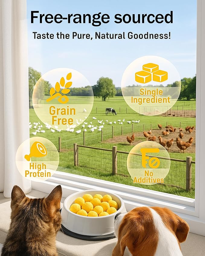 10.6oz Freeze Dried Quail Egg Yolk Cats & Dogs, Treats, Single Ingredient, Freeze-Dried Pet Food for Dogs, Cats, No Additives | Grain Free | Support for Skin and Coat Health