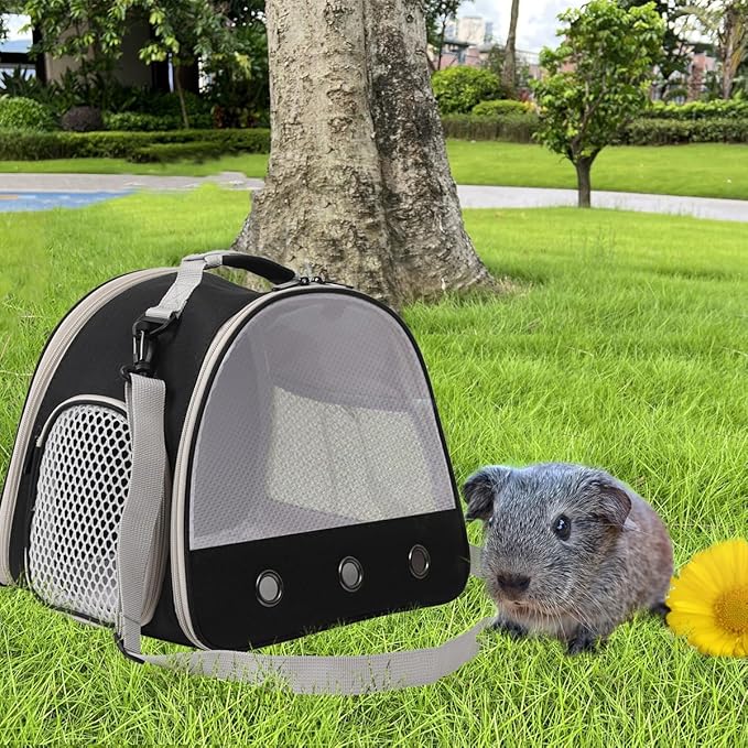 Ventilation Carrier for Bearded Dragon,Guinea Pig Carrier,Guinea Pig Carrier for 2,Reptile Travel Carrier for Lizards Sugar Glider Hedgehog Rat Parrot Birds,Airline Approved Black