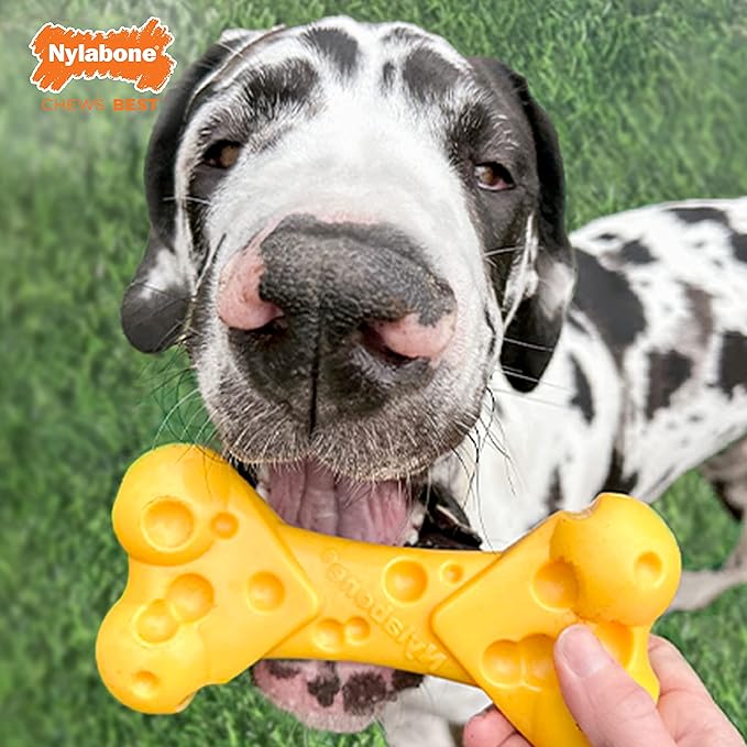 Nylabone Cheese Bone Power Chew Toy for Dogs, Cute Dog Toys for Aggressive Chewers, Cheese Flavor, X-Large Dogs - 50+ lbs, 1 Count