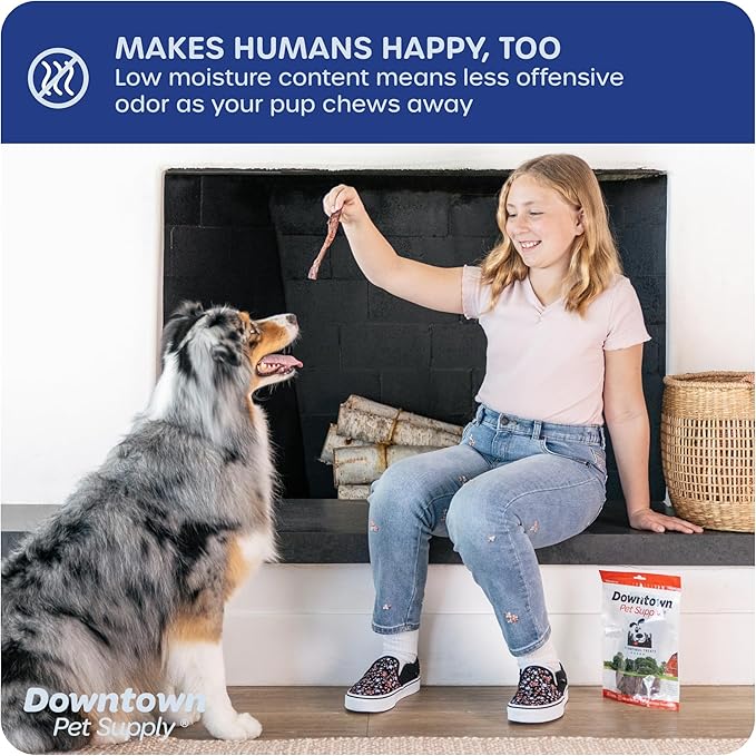 Downtown Pet Supply USA-Made Bully Sticks for Dogs (12", 50-Pack Regular) Rawhide Free Dog Chews Long Lasting Non-Splintering Pizzle Sticks - Low Odor Bully Sticks for Large Dogs