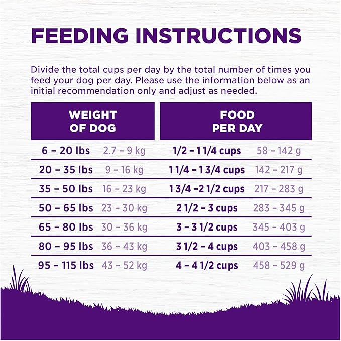 Wellness Complete Health Senior Dry Dog Food, Wholesome Grains, Natural, Age Advantage Chicken & Barley Recipe, (26-Pound Bag)