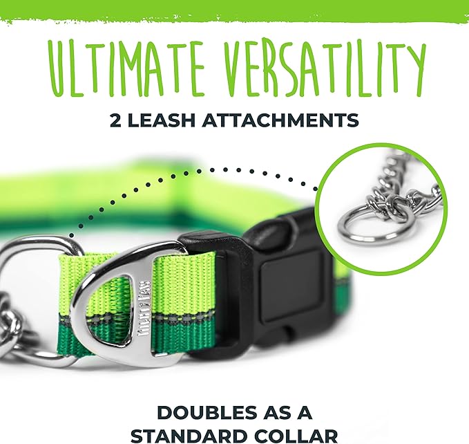 Mighty Paw Martingale Dog Collar 2.0 | Trainer Approved Limited Slip Collar with Stainless Steel Chain & Heavy Duty Buckle - Modified Cinch for Gentle & Effective Pet Training - Large, Green