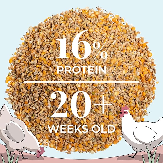 Organic Chicken Feed – Layer Whole Grain, Non-GMO, USA Grown, 16% Protein, Corn-Free, Soy-Free, Non-Medicated Feed for Chickens, 46 lbs