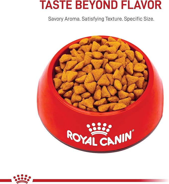 Royal Canin Feline Health Nutrition Indoor Adult Dry Cat Food, 3 lb Bag