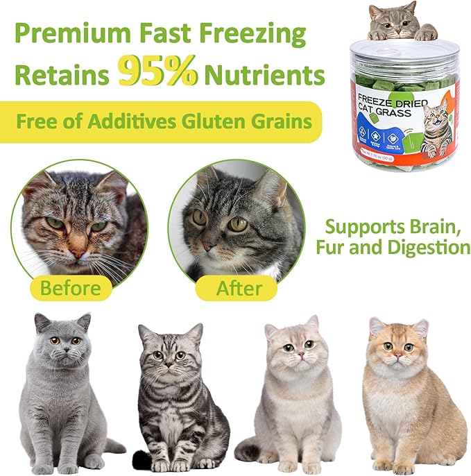 Freeze-Dried Cat Grass Treats with Premium Gourmet Blend - Natural Hairball Control & Gut Health Support for Cats (Chicken Breast Formula, 1.76 oz)