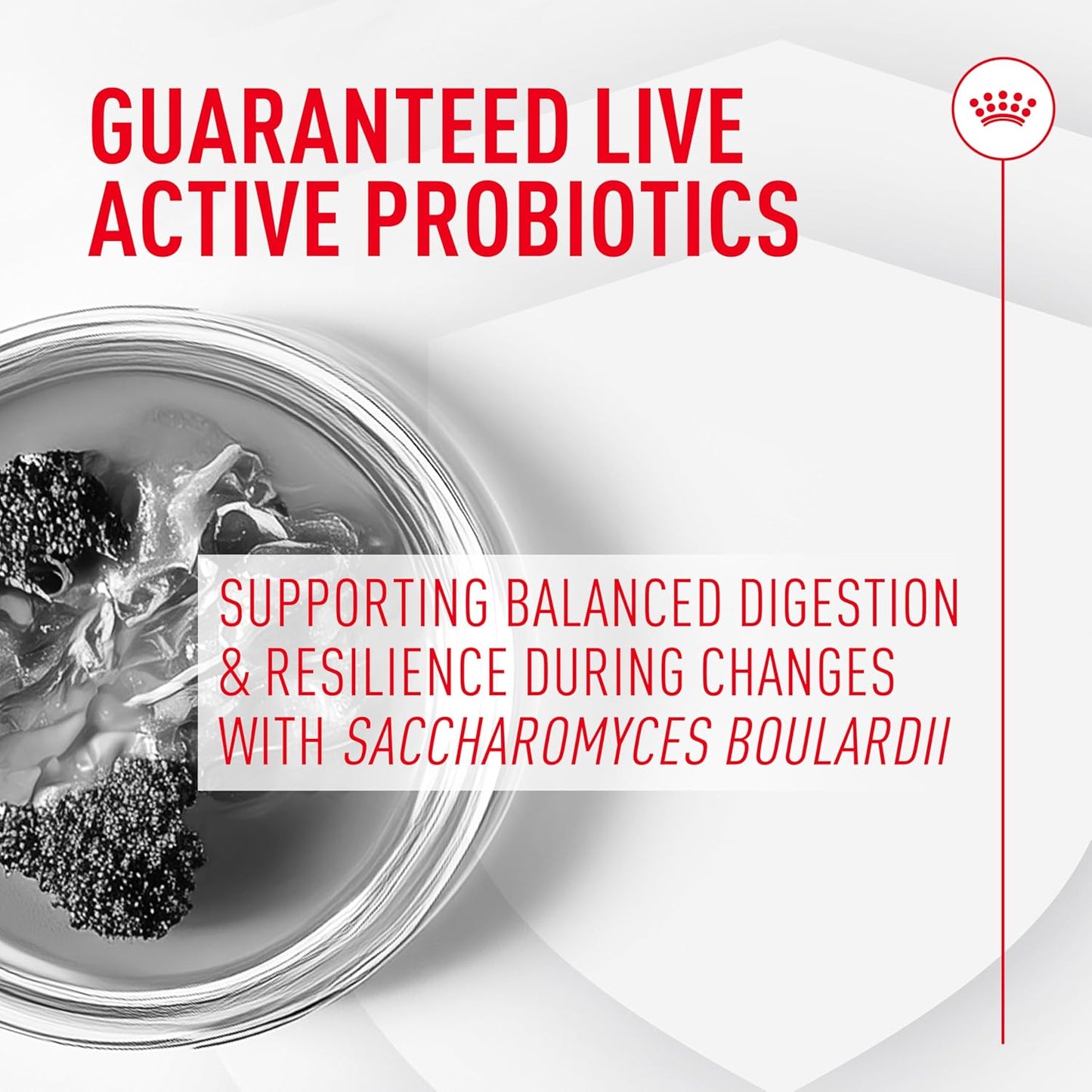 Royal Canin Probiotics for Dogs Digestive and Immune Health Powder Supplement for Dogs of All Ages, 30 Count (Pack of 2)