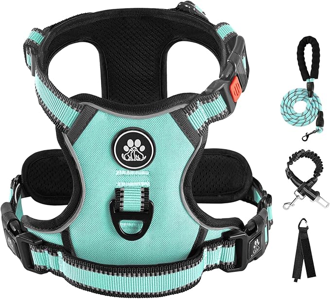 IVY&LANE No Pull Dog Harness with Leash Set, Reflective No Choke Pet Vest,Adjustable Oxford Dog Vest Harness with Easy Control Handle for Large Dogs (Turquoise,XL)