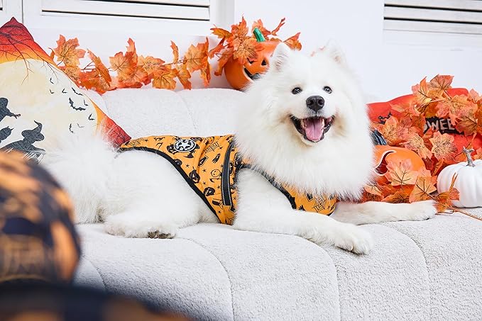 Aiboria Dog Jackets Windproof Outfit Coat Dog Vest Harness Puppy Warm Jacket Halloween Orange XXL