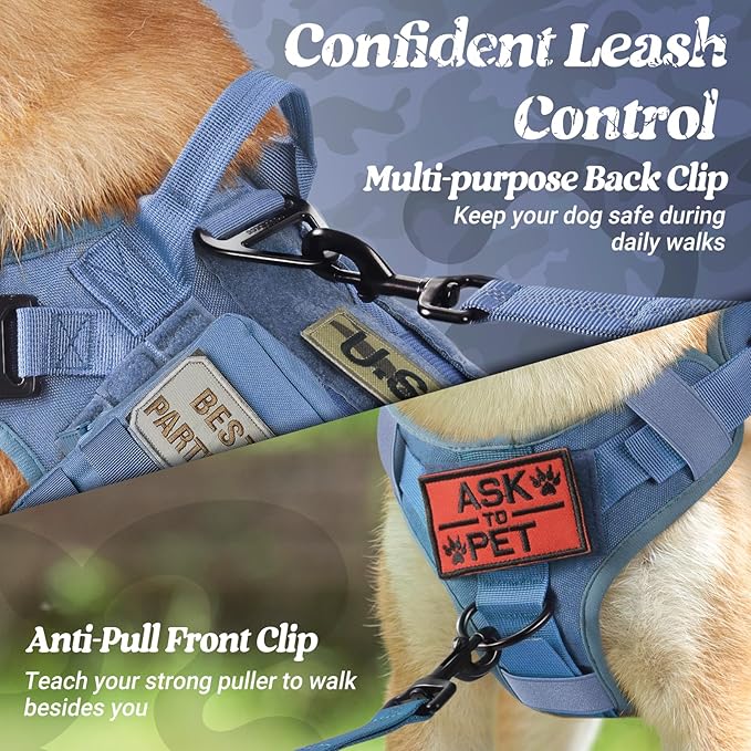 rabbitgoo Tactical Dog Harness for Small, Heavy Duty Pet Harness with Handle, No-Pull Service Vest Small Breed, Adjustable Military Dog Vest for Training Hunting Walking, Blue, S