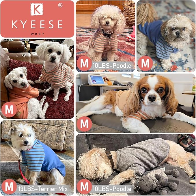 KYEESE 3Pack Dog Sweater Lightweight Dog Sweaters for Small Dogs Male Pet Fleece Sweater with Sleeves Stretchy Cat Sweaters Comfy Dogs Sweatshirt Soft Cat Clothes Pullover Pet Coat for Cold Weather
