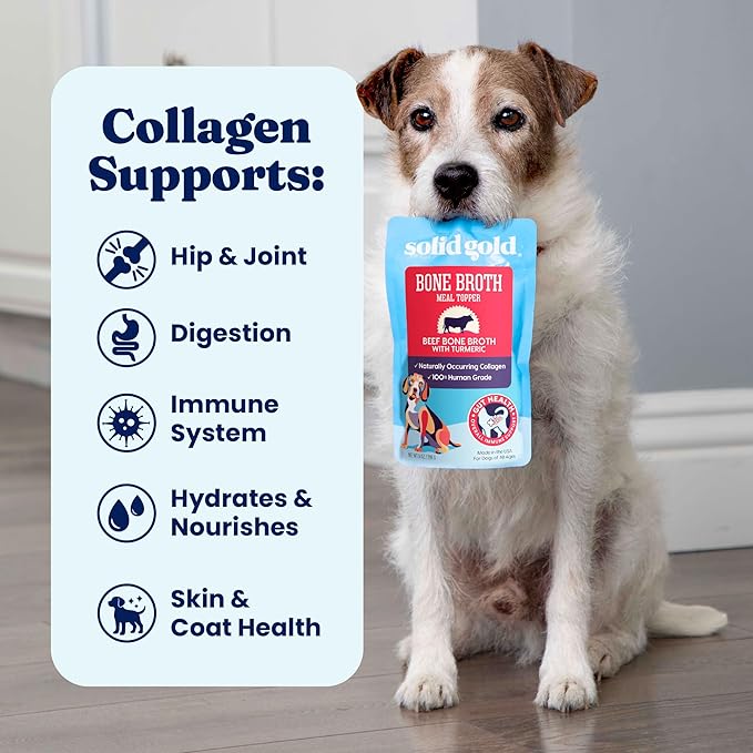 Solid Gold Beef Bone Broth for Dogs - Limited Ingredient Bone Broth Dog Food Toppers for Picky Eaters with Collagen & Superfoods - Dog Gravy Topper for Dry Food - Gut Health & Hydration - 12 Pack