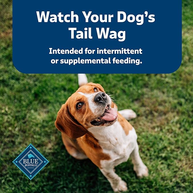 Blue Buffalo Health Bars Crunchy Dog Biscuits, Oven-Baked With Natural Ingredients, Pumpkin & Cinnamon, 16-oz Bag