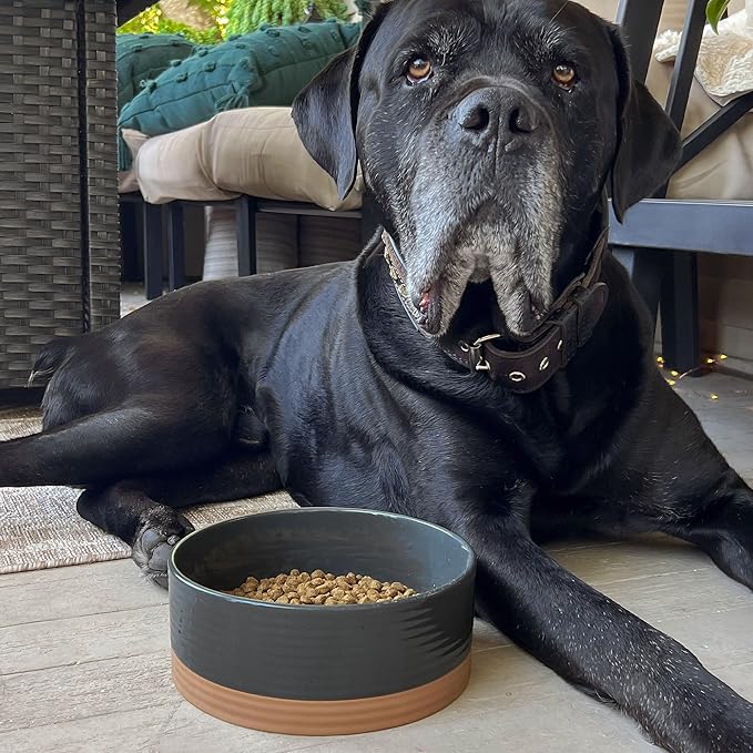 Mora Ceramic Pet Bowl - Large Food/Water Dish for Large Dogs, Cats, Great Dane, Mastiff - 50oz or 8 Cups - Basic Bowls - Charcoal