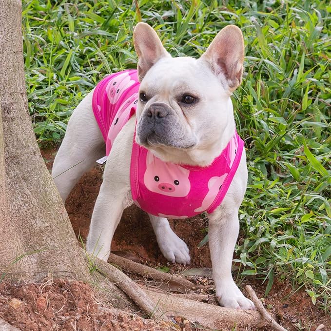 CuteBone Dog Shirts 2-Pack Soft Pet Clothes Breathable Summer Vest for Small Puppy and Stretchy Cat Apparel 2BX09M