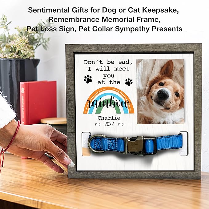 Customized Pet Collar Frame Pet Loss Gifts Rainbow Bridge Memorial Cremation Frame Remembrance Sign Heartfelt Gift Pet Keepsakes Ever Pet Personalized Pet Memorial Gifts Dog Frames Tabletop