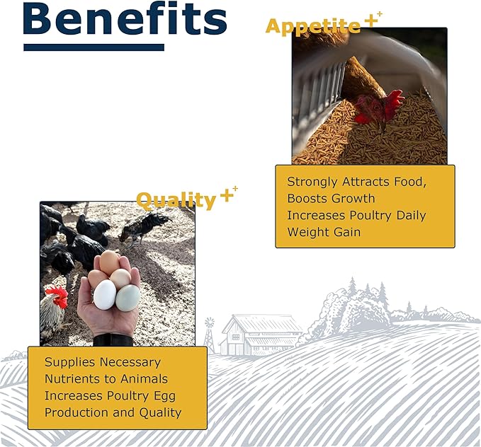 Nutrient-Rich Chicken Feed - 10LB Dried Black Soldier Fly Larvae, 100% Natural, 85X More Calcium Than Mealworms, Ideal for Molting & Laying Hens, Ducks, and Wild Birds, Reptiles and Hedgehog