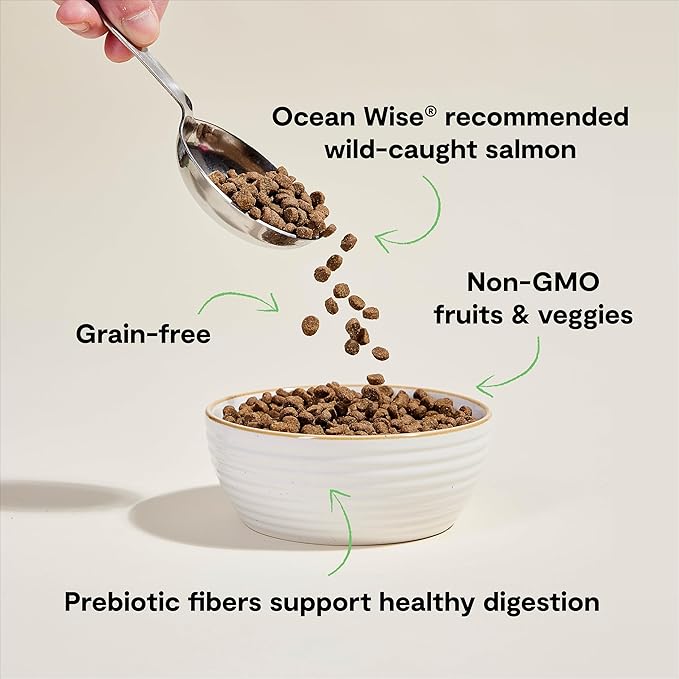 Open Farm, Grain Free Dry Cat Food, High-Protein Kibble for a Complete & Balanced Diet, Non-GMO Fruits & Vegetables, Prebiotic Fibers to Support Digestion, Wild-Caught Salmon Recipe, 8lb Bag