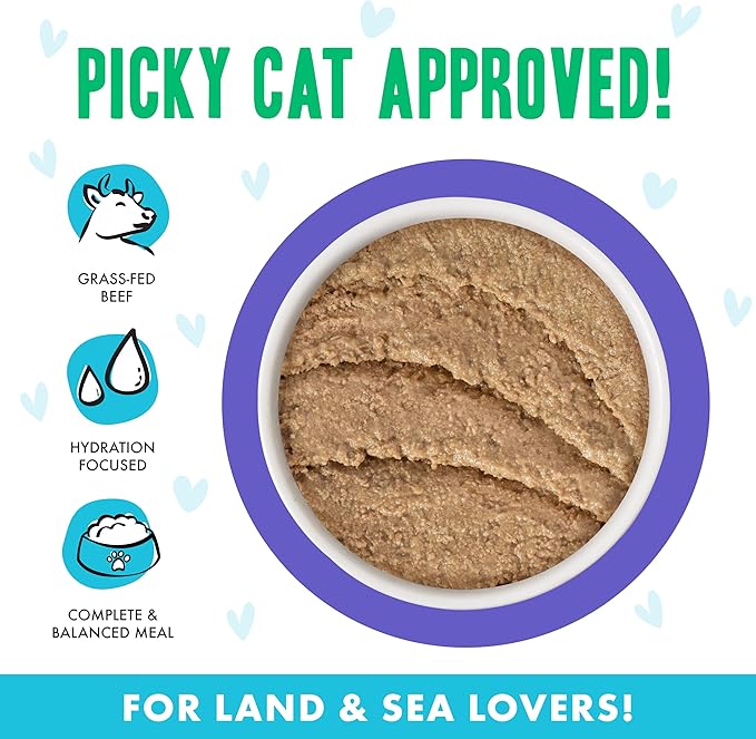 Weruva B.F.F. Play - Best Feline Friend Paté Lovers, Aw Yeah!, Beef & Tuna Tic TOC with Beef & Tuna, 2.8oz Can (Pack of 12)