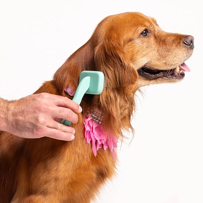 Floof by Brodie Dog Grooming Slicker Wire Brush: Designed for Long Haired Dog Breeds - Dematting and Deshedding, Comfortable and Easy to Use, Ergonomic Handle - Small (Teal, Small)