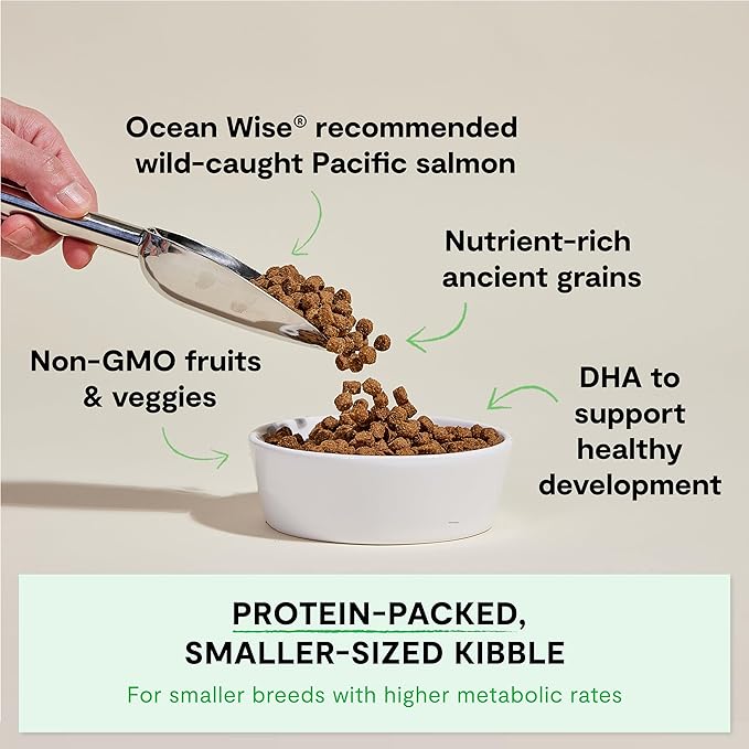 Open Farm, Ancient Grains Dry Dog Food for Puppies, Protein-Rich & Nutrient Dense, 90% Animal Protein Mixed with Non-GMO Fruits, Veggies and Superfoods, Salmon Recipe for Puppy, 4lb Bag