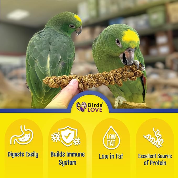 Birds LOVE Economy Special Spray Millet - GMO-Free (No Stems Only Edible Tops) for Birds Cockatiel, Lovebird, Parakeet, Finch, Canary All Parrots Healthy Treat 7oz - Pack of 4