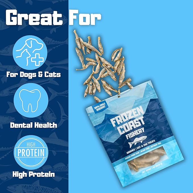 Frozen Coast Freeze-Dried Minnows Dog and Cat Treats -Single-Ingredient, All-Natural Fish, Grain-Free, High Protein Pet Treats, Sourced in The USA - 1 oz-Bag